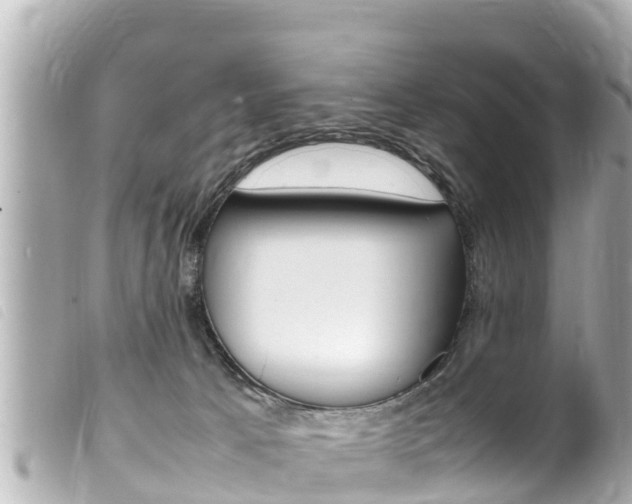 X0000100220033200805300757