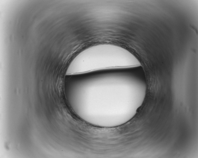 X0000100220036200805300757
