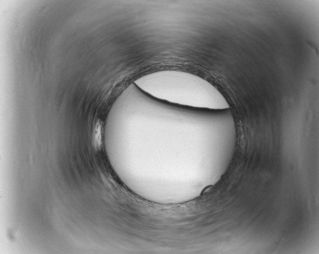 X0000100220042200805300757