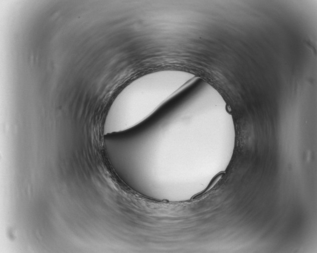 X0000100220044200805300757