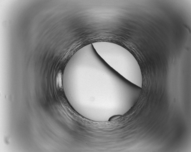 X0000100220046200805300757