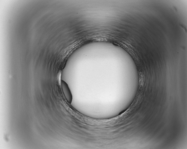 X0000100220047200805300757
