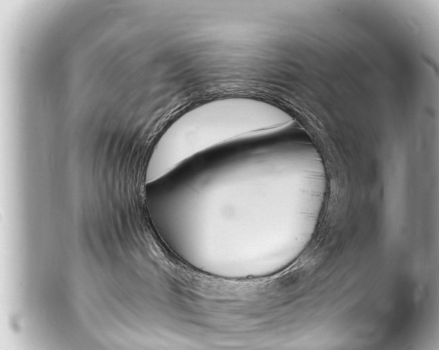 X0000100220048200805300757