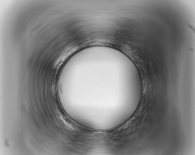 X0000100220050200805300756