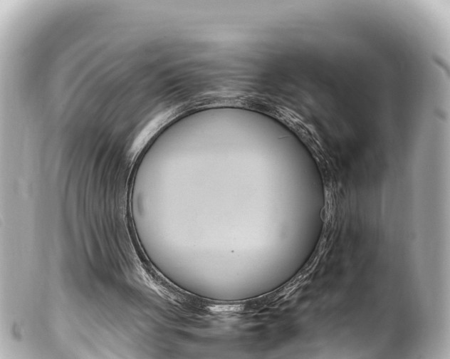 X0000100220051200805300756