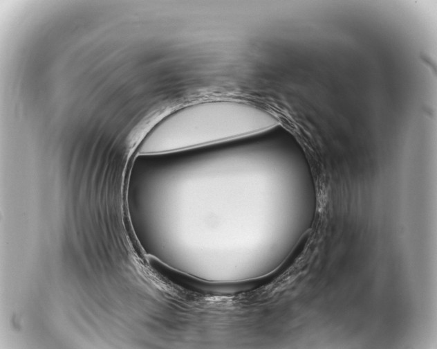 X0000100220052200805300756