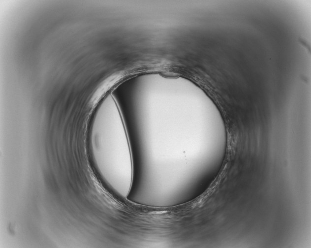 X0000100220054200805300756