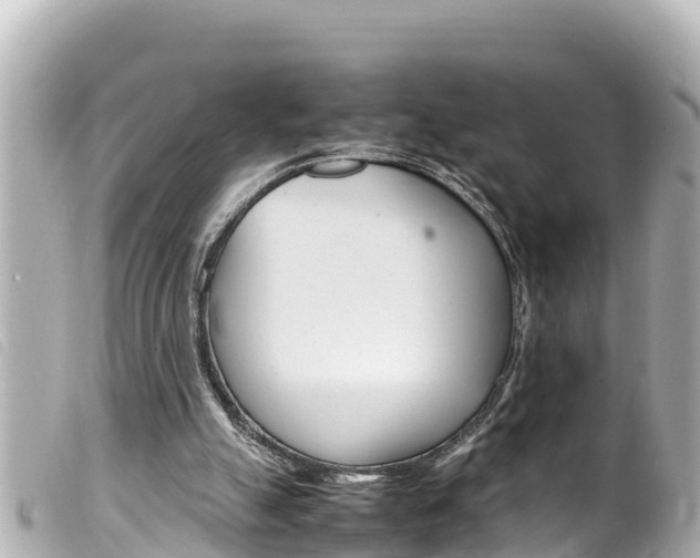 X0000100220055200805300756