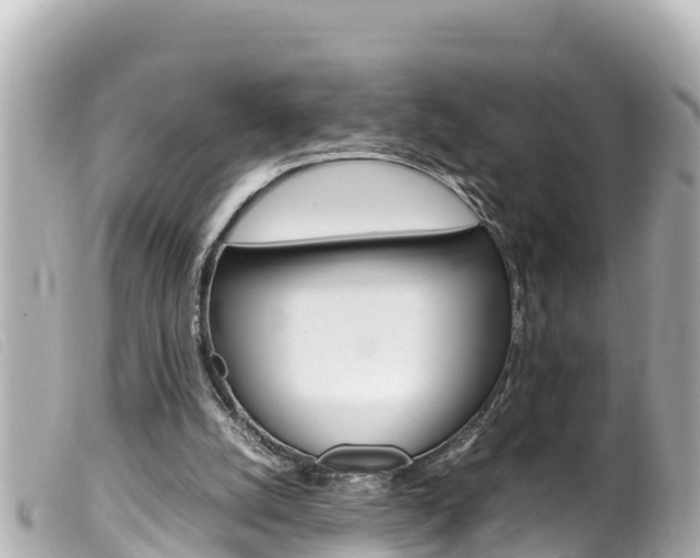 X0000100220056200805300756