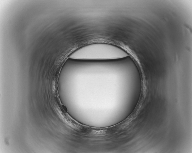 X0000100220057200805300756