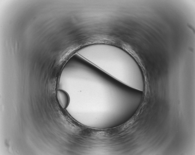 X0000100220058200805300756