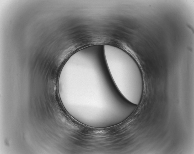 X0000100220059200805300756