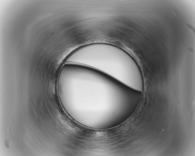 X0000100220060200805300756