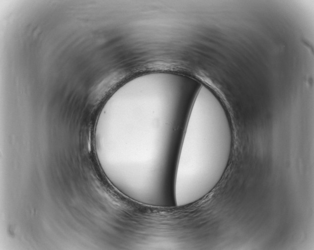 X0000100220062200805300756