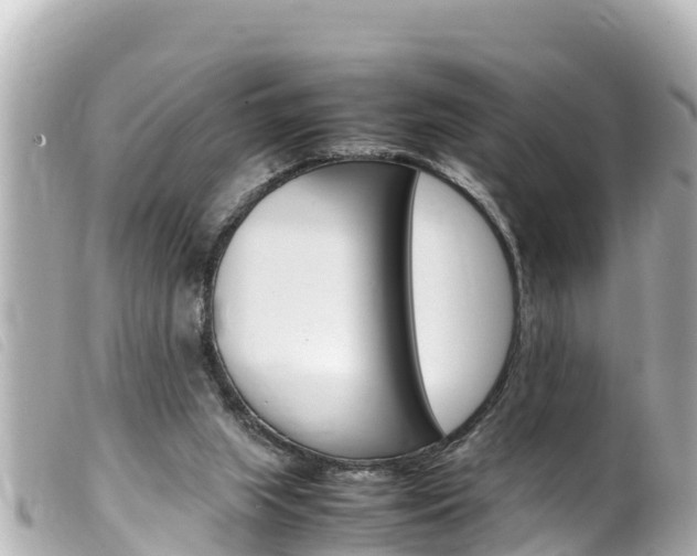 X0000100220063200805300756