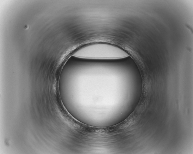 X0000100220064200805300756