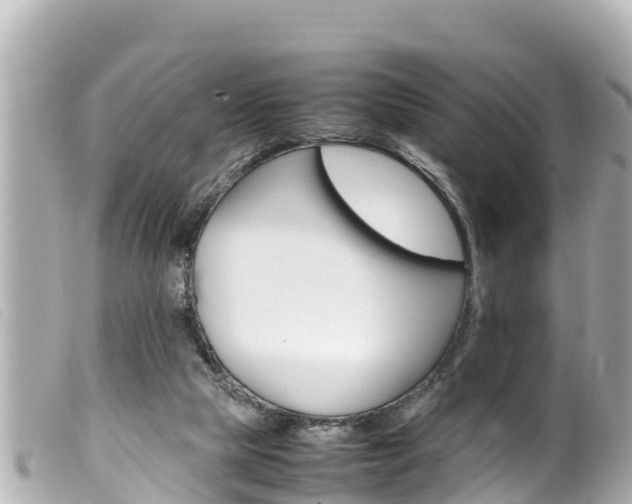 X0000100220065200805300756