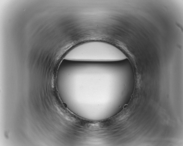 X0000100220068200805300756