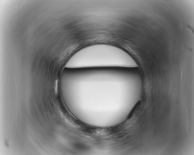 X0000100220070200805300756