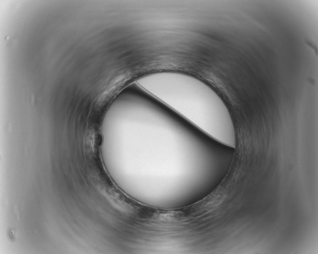X0000100220072200805300756
