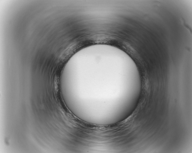 X0000100220074200805300756