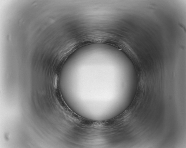 X0000100220076200805300756