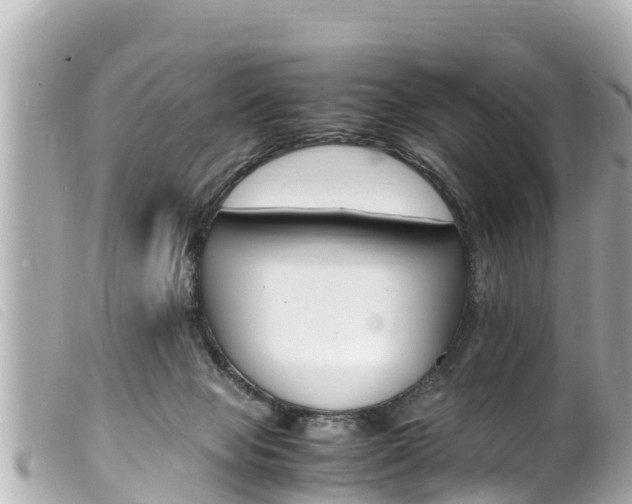 X0000100220077200805300756