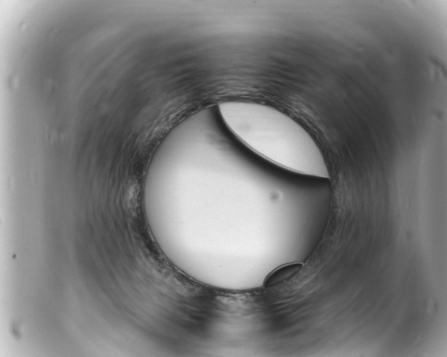 X0000100220079200805300756