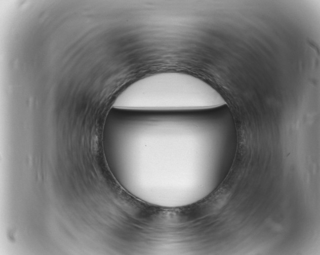 X0000100220080200805300756