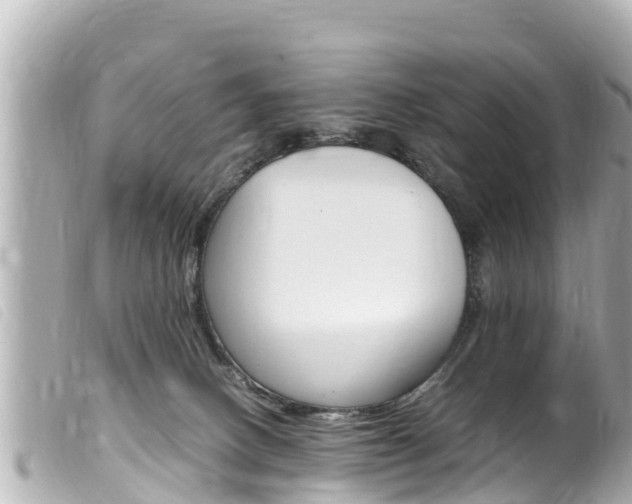 X0000100220082200805300756