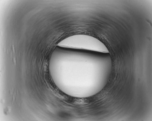 X0000100220083200805300756