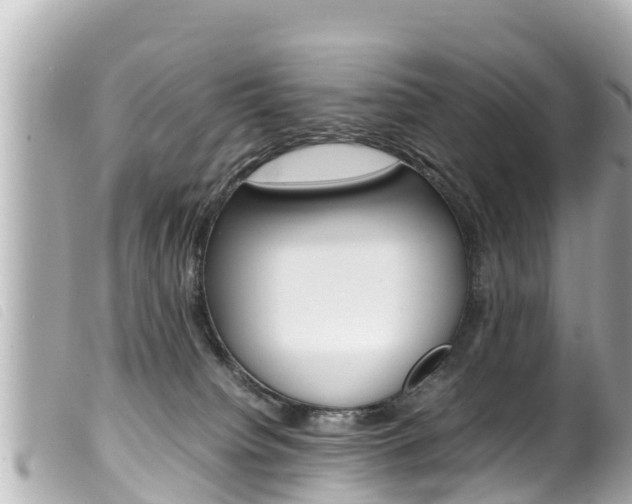 X0000100220084200805300756