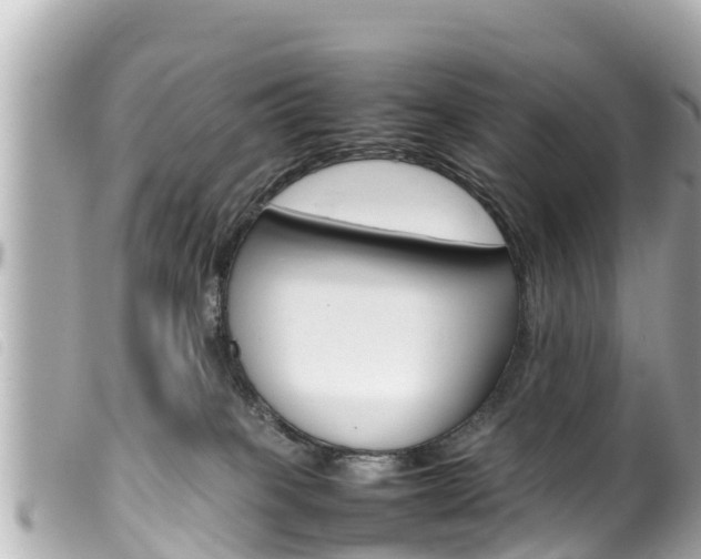 X0000100220085200805300757