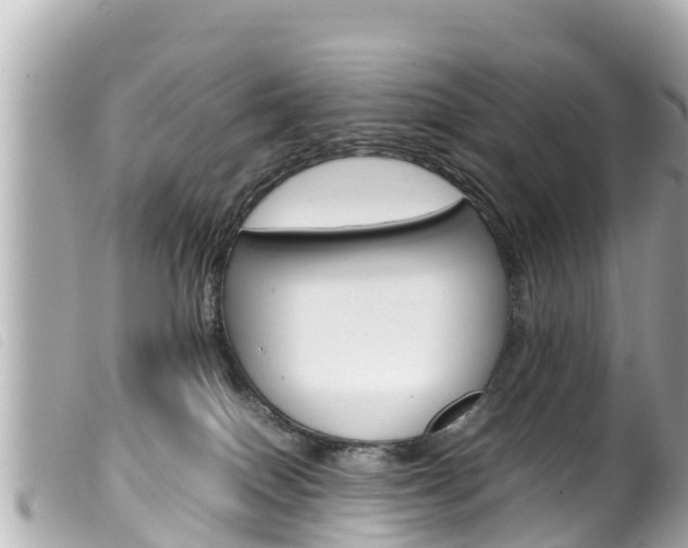 X0000100220086200805300757