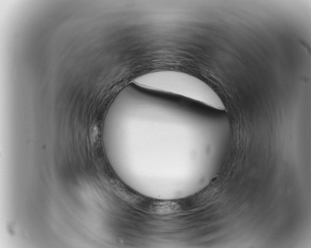 X0000100220087200805300757