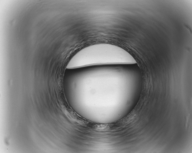 X0000100220088200805300757