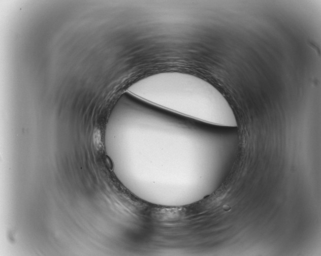 X0000100220089200805300757