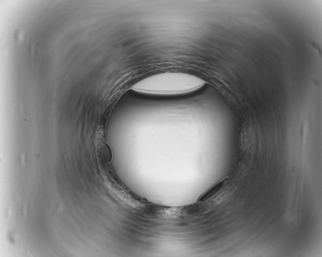 X0000100220092200805300757