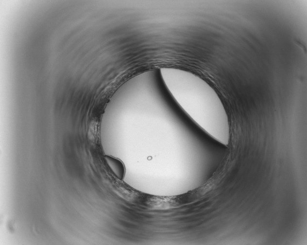 X0000100220093200805300757