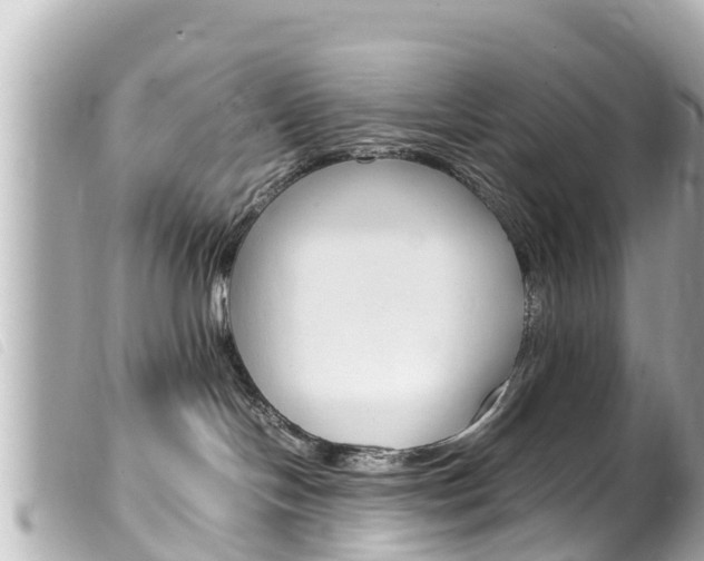 X0000100220094200805300757