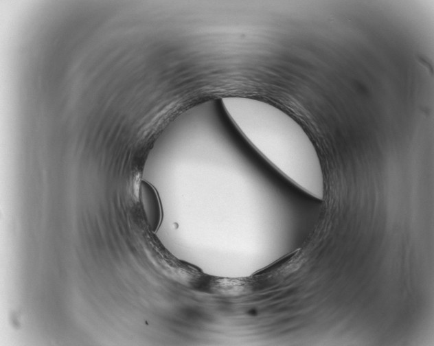 X0000100220095200805300757