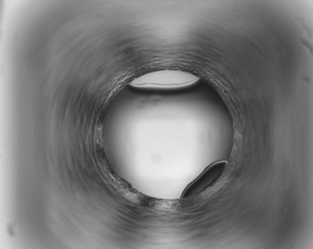 X0000100220096200805300757
