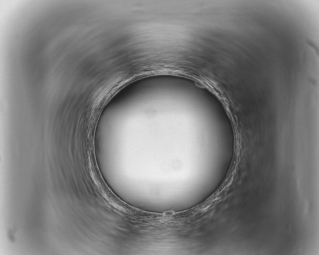 X0000100220097200805300756