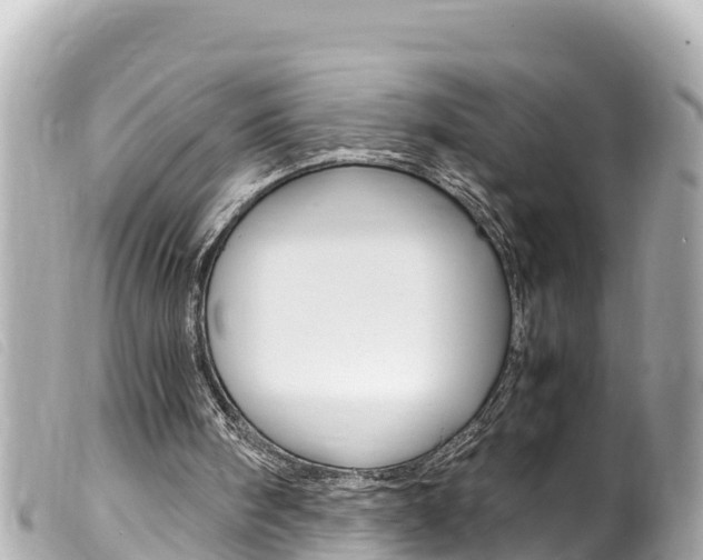 X0000100220098200805300756