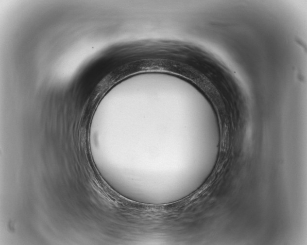 X0000100220099200805300756