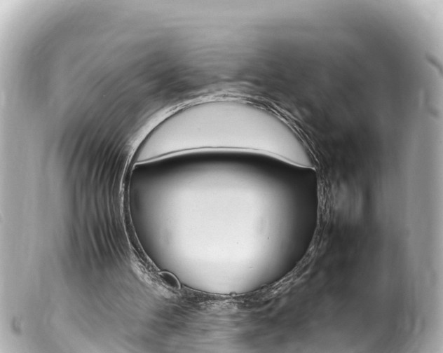 X0000100220100200805300756