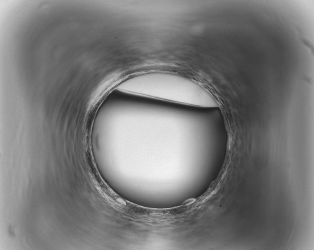 X0000100220101200805300756