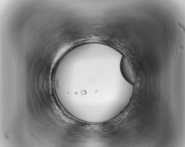 X0000100220102200805300756