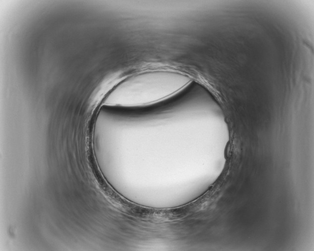 X0000100220103200805300756