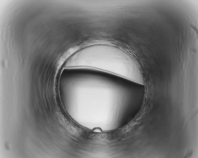 X0000100220104200805300756